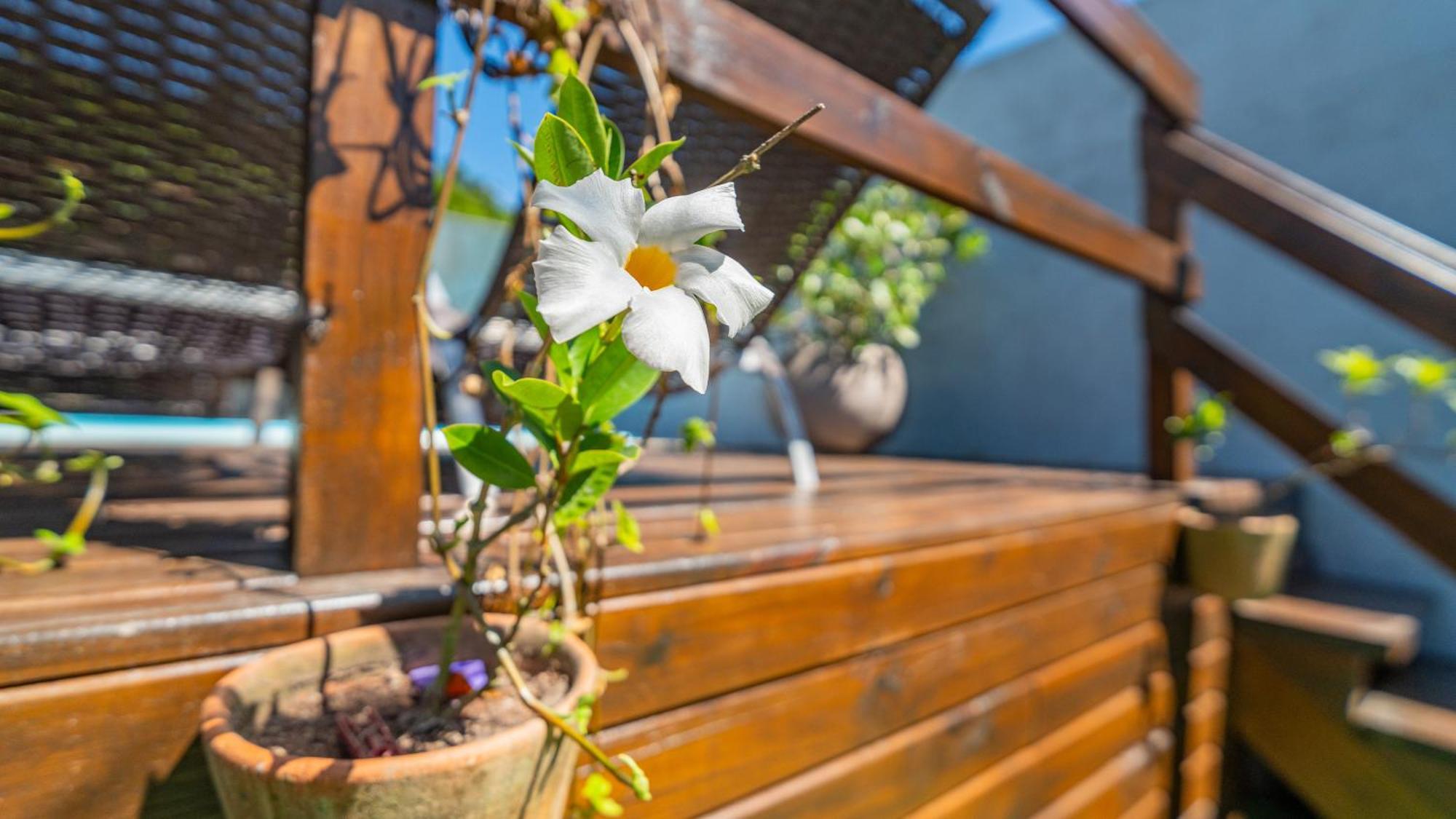 Residencial Com Piscina Possui Jacuzzi Aquecida Com Hidromassagem Villa Bombinhas Buitenkant foto